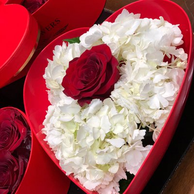 Single Rose (4mua BMS-366)